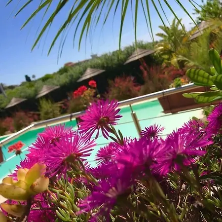 Bed & Breakfast Saija *