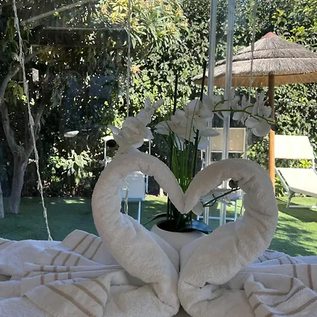 Saija Bed & Breakfast